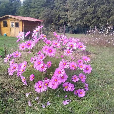 Location Maison Pontenx-les-Forges Екстериор снимка
